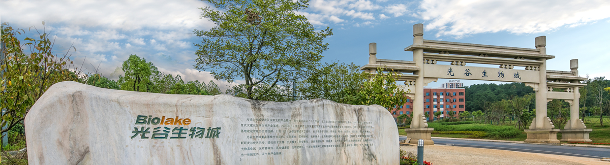 光谷生物城.jpg